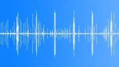 Forest Birds Calling Chirping Tweet Sound Effect