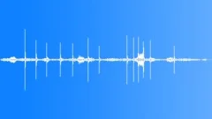 Forest Birds Close Ambience (Atmosphere, Relax, Calm)Sound Effect