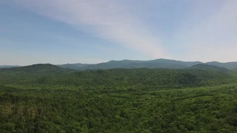 Forest from a bird's eye view Stock Footage 137423854