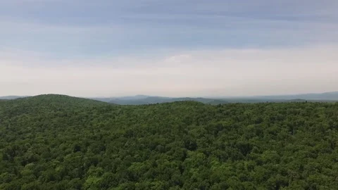 Forest from a bird's eye view Stock Footage 137423872