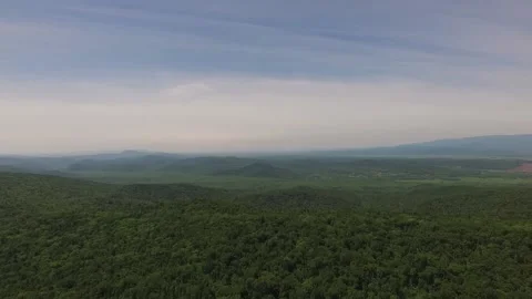 Forest from a bird's eye view Stock Footage 137423897