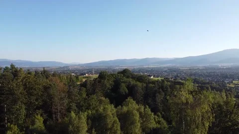 Forest, birds flying around and village in the distance Stock Footage