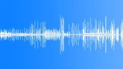 Forest Birds Singing Nature Wood Sound Pack 10 itemsSound Effect