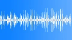 Forest Birds Song Nature Record 3Sound Effect