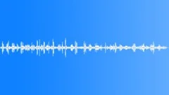 Forest Birds Song Nature Record 3Sound Effect