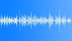 Forest Birds Song Nature RecordSound Effect