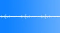 Forest birdsSound Effect