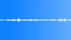 Forest BirdsSound Effect