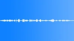 Forest, Birdsong, Wind, Spring, Loop, V2 Sound Effect