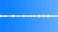 Forest, Birdsong, Wind, Spring, Loop, V1 Sound Effect
