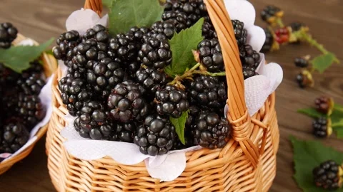 Forest blackberries in a basket. Stock Footage 328403273