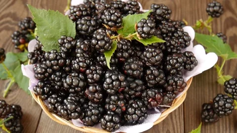 Forest blackberries in a basket. Stock Footage 328441135