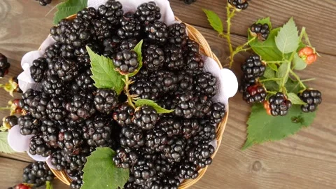 Forest blackberries in a basket. 스톡 동영상 328441147