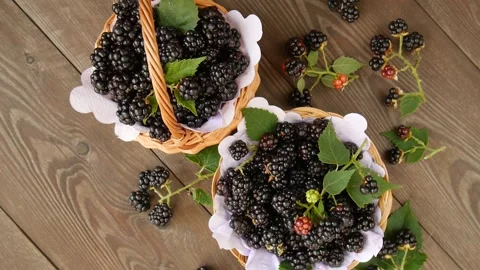 Forest blackberries in a basket. Stock Footage 328592177
