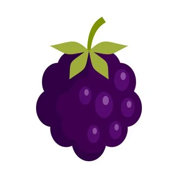 Forest blackberry icon flat isolated vector 스톡 일러스트