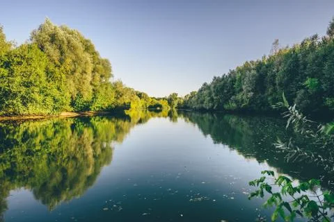 Forest blue lake Stock Photos