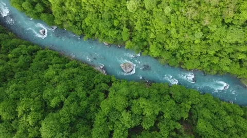 Forest blue river nature Stock Footage 273210600