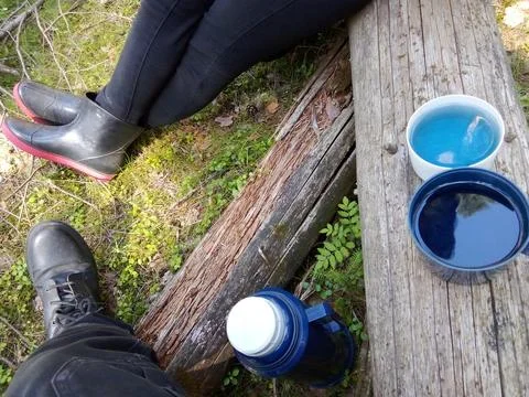Forest Blue Tea Stock Photos
