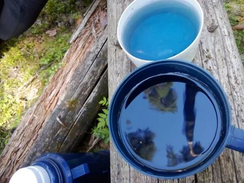 Forest Blue Tea Foto stock