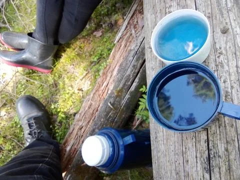 Forest Blue Tea Stock Photos