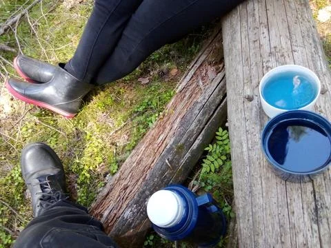 Forest Blue Tea Stock Photos