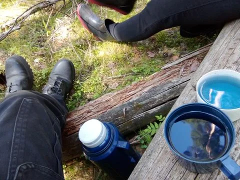 Forest Blue Tea Stock Photos