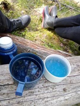 Forest Blue Tea Stock Photos