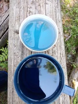 Forest Blue Tea Stock Photos