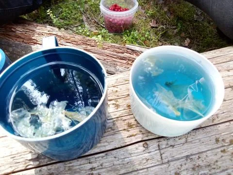 Forest Blue Tea Stock Photos