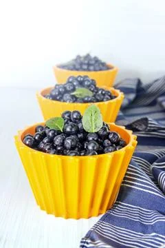 Forest blueberries Stock Photos