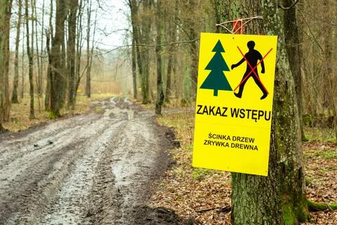 Forest with a board forbidden entry, logging of trees Stock Photos