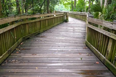 Forest boardwalk trail Stock Photos