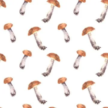 Forest Boletus with orange cap seamless pattern Mushrooms, fungi Watercolor hand Stock Illustration