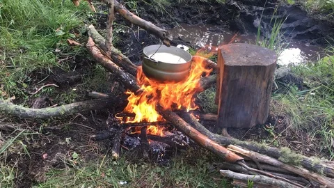 Forest bonfire on a halt Stock Footage 113631622
