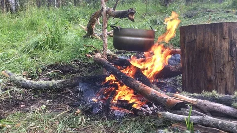 Forest bonfire on a halt Stock Footage 113631627