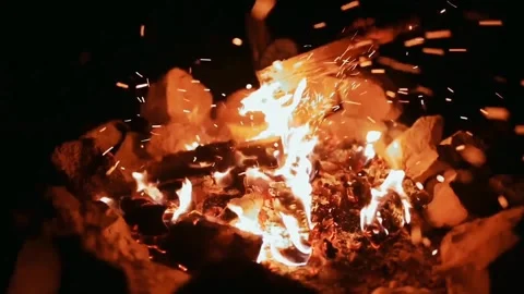 Forest bonfire wood fire Video stock 274034745
