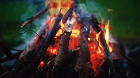 Forest bonfire woodfire Stock-Footage 274034743