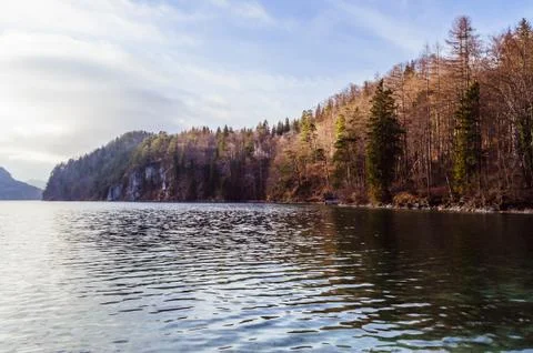 Forest on the border of the mountain lake Stock Photos