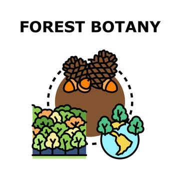 Forest botany studying nature and ecology conservation Stock Illustration