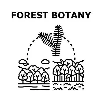 Forest botany studying nature's diverse plant life Stock Illustration