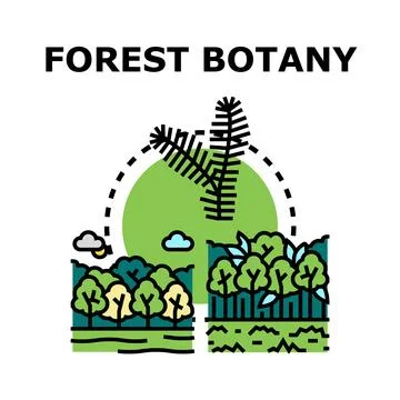 Forest botany studying nature's diverse plant life Stock Illustration
