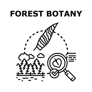 Forest botany studying trees and natural environment Ilustración de archivo