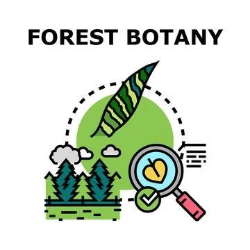 Forest botany studying trees and natural environment Stock Illustration