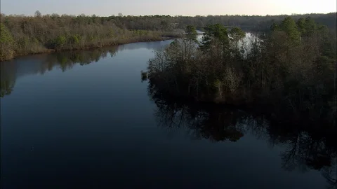 Forest on both the side of a calm river, Killen Pond State Park Stock Footage 109139286