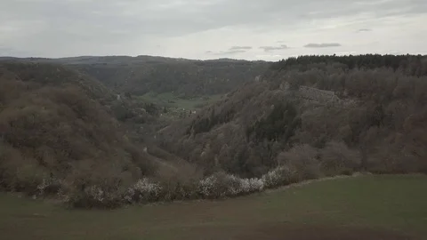 Forest bridge and tunnels on a cloudy weather 1080 ungraded Stock Footage 105953995