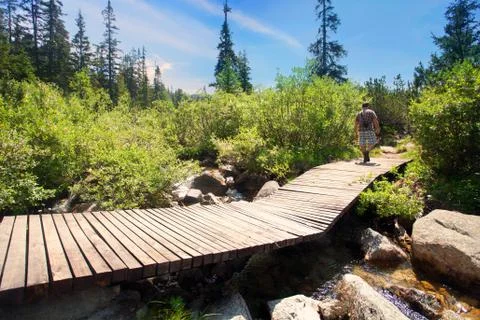 Forest bridge Stock Photos