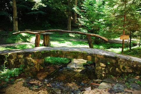 Forest Bridge Stock Photos