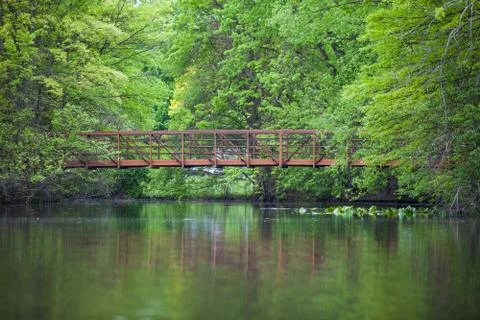 Forest bridge Stock Photos