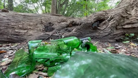 Forest broken glass bottle Video stock 252354366