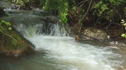 Forest brook 01 Stock Footage 27185632